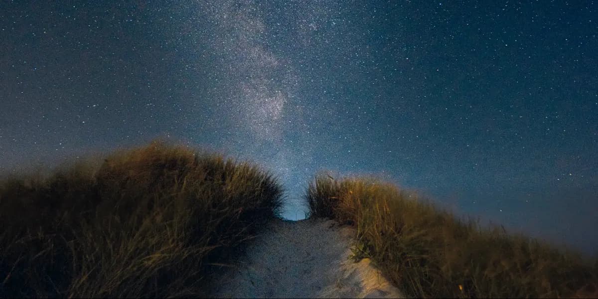 Article thumbnail